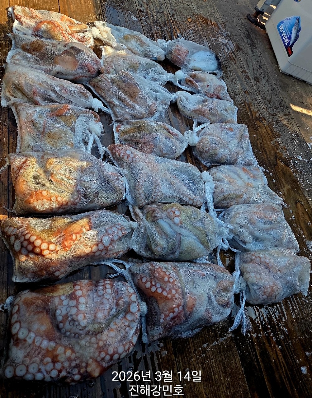 ����ڰ� �ø� �̹���