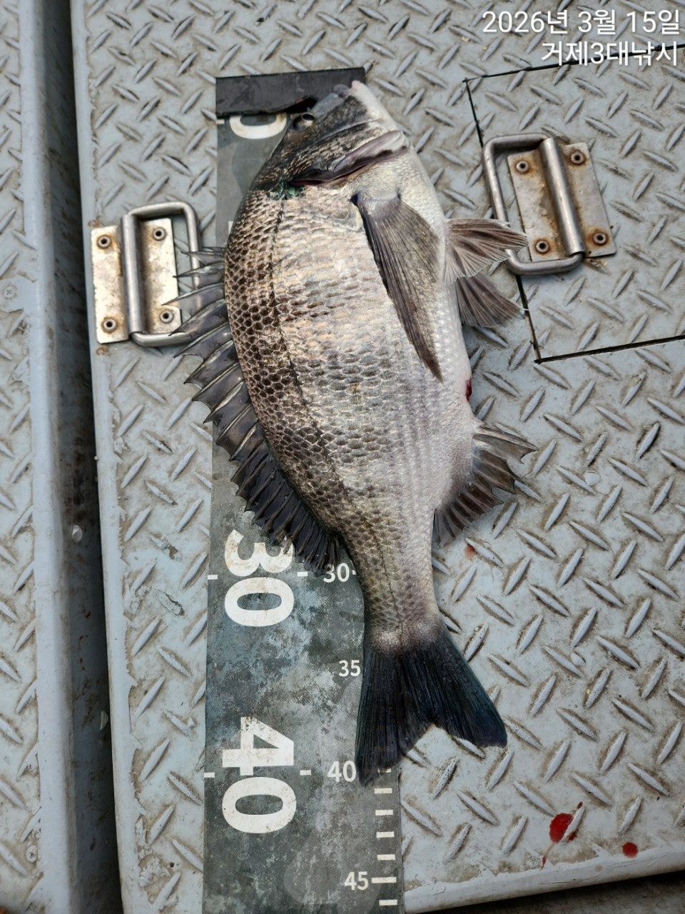 ����ڰ� �ø� �̹���