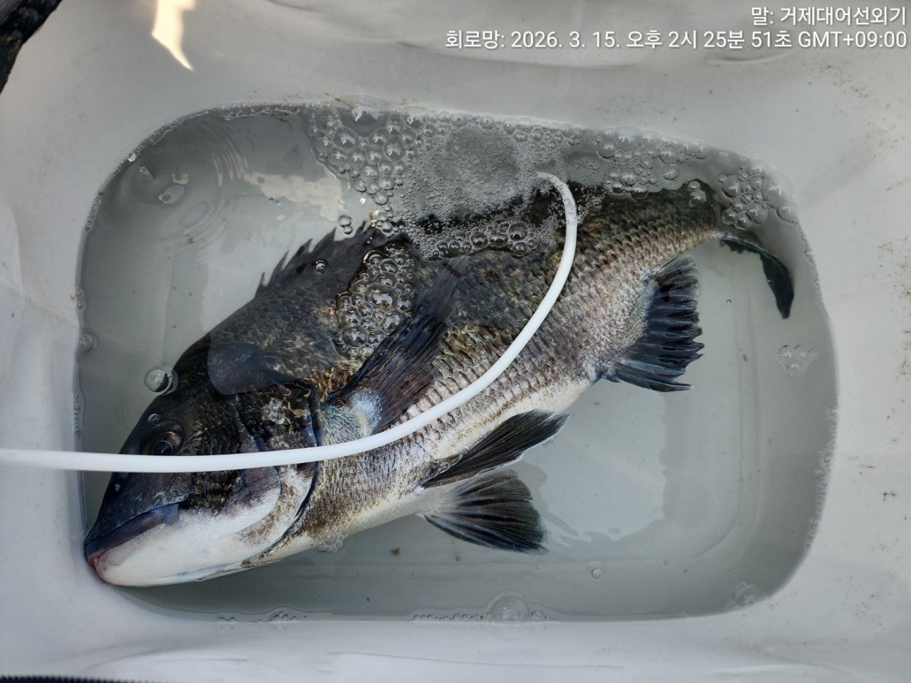 ����ڰ� �ø� �̹���