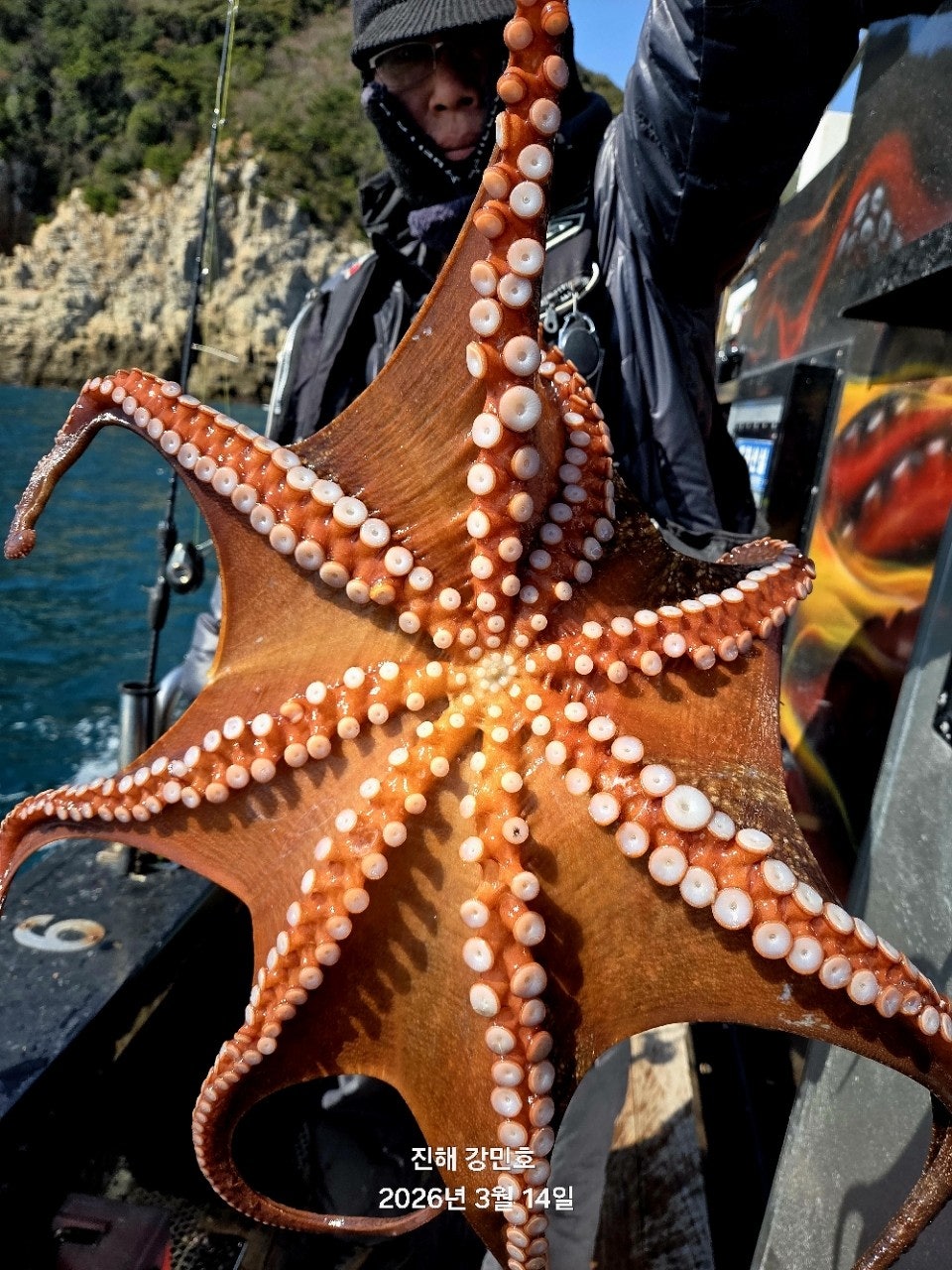 ����ڰ� �ø� �̹���