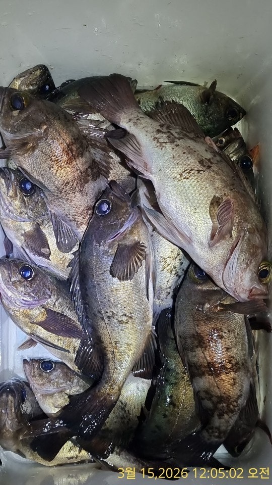 ����ڰ� �ø� �̹���