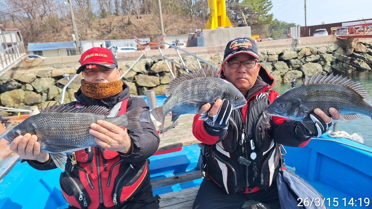 ����ڰ� �ø� �̹���