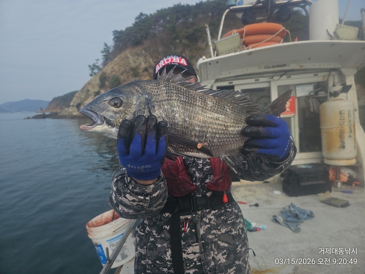 ����ڰ� �ø� �̹���