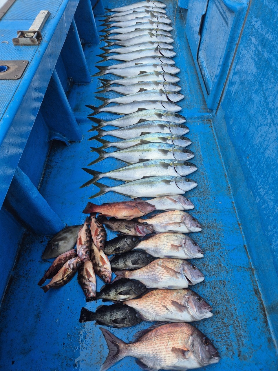 ����ڰ� �ø� �̹���