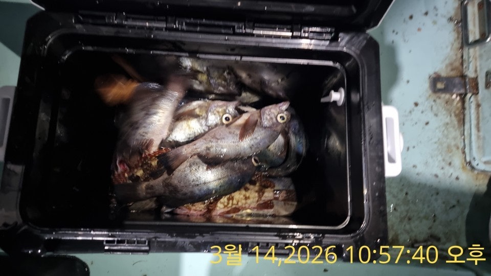 ����ڰ� �ø� �̹���