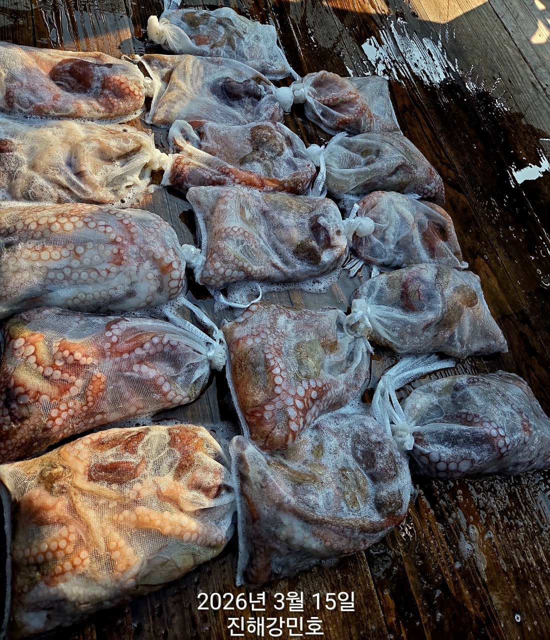 ����ڰ� �ø� �̹���