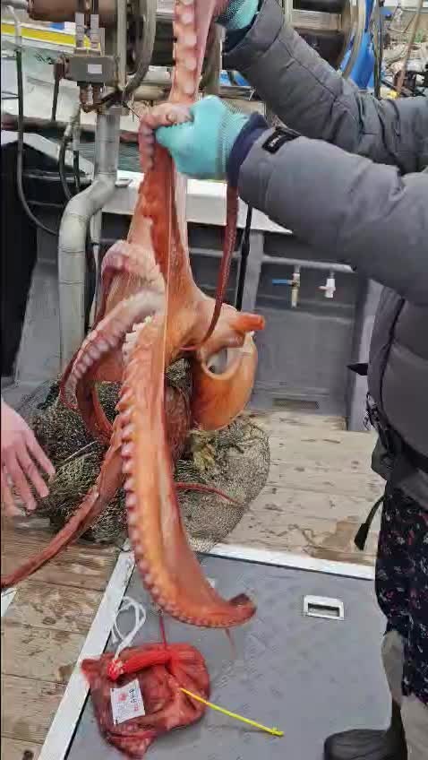 동영상