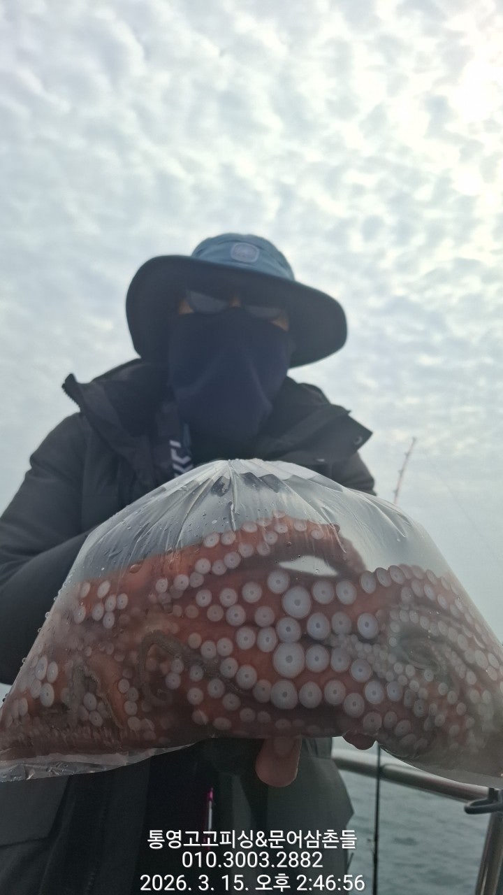 ����ڰ� �ø� �̹���