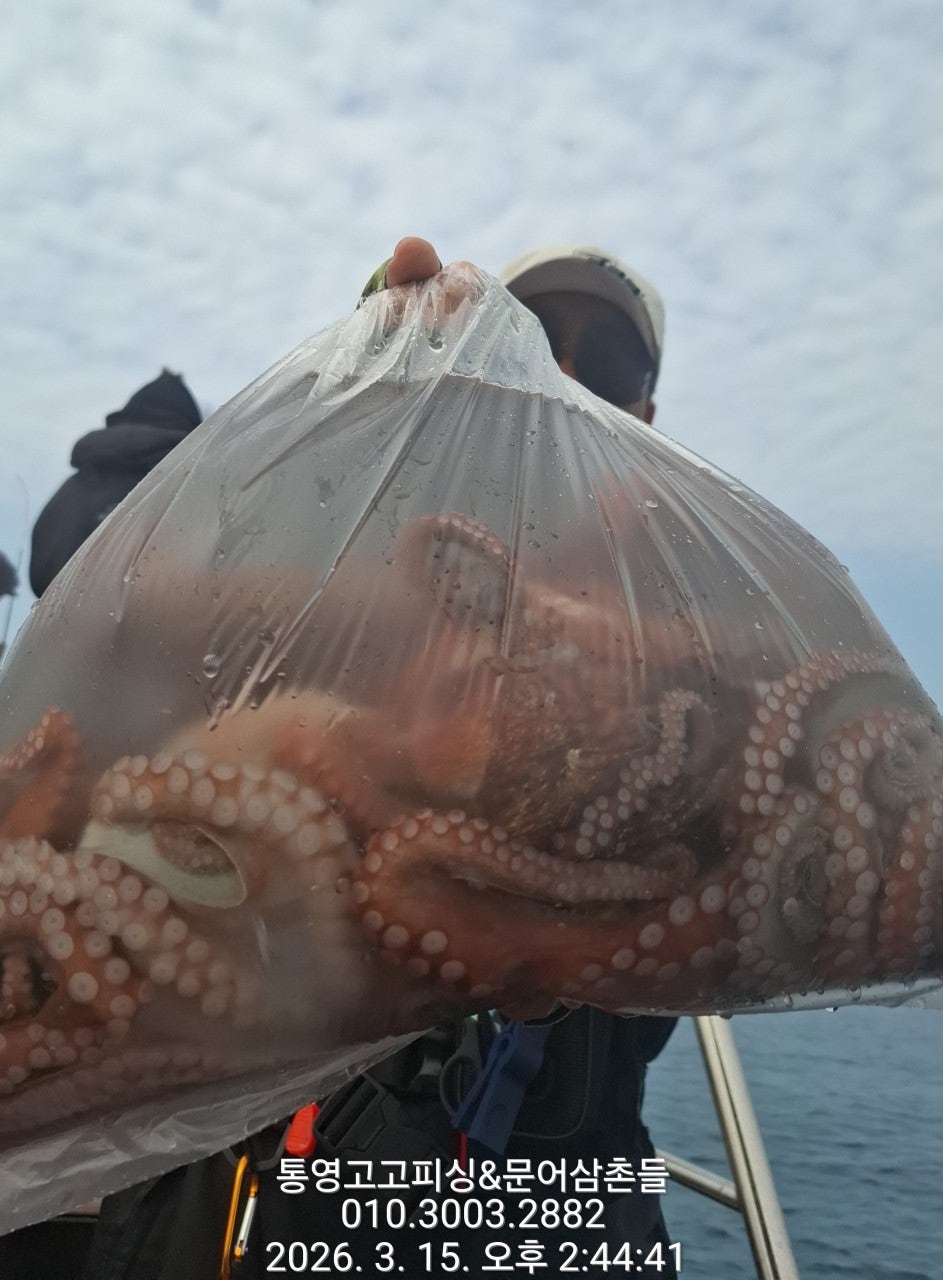 ����ڰ� �ø� �̹���