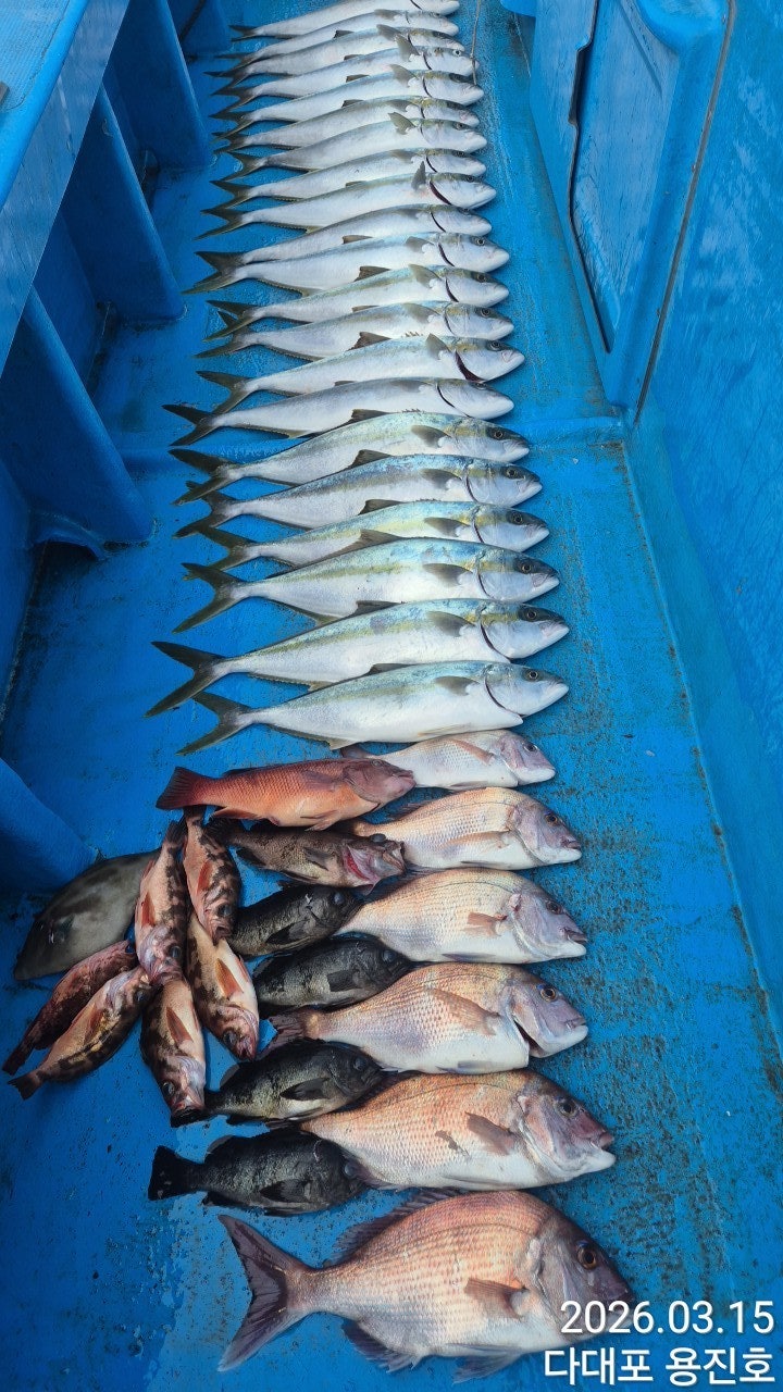 ����ڰ� �ø� �̹���