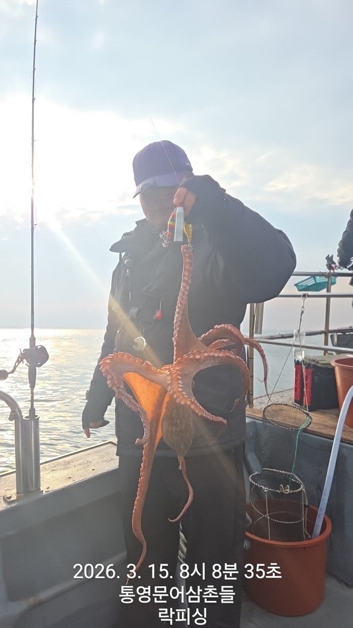 ����ڰ� �ø� �̹���