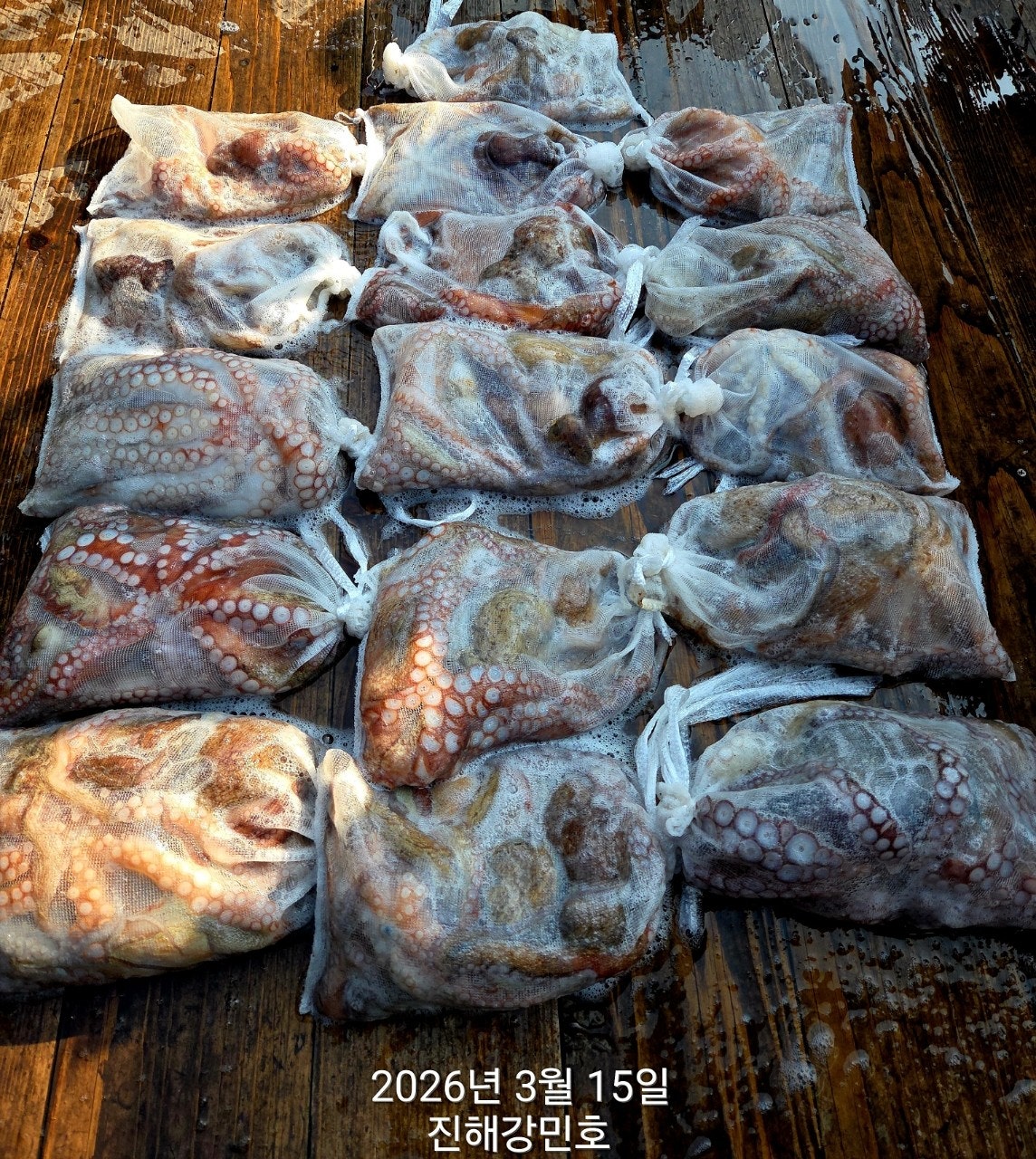 ����ڰ� �ø� �̹���