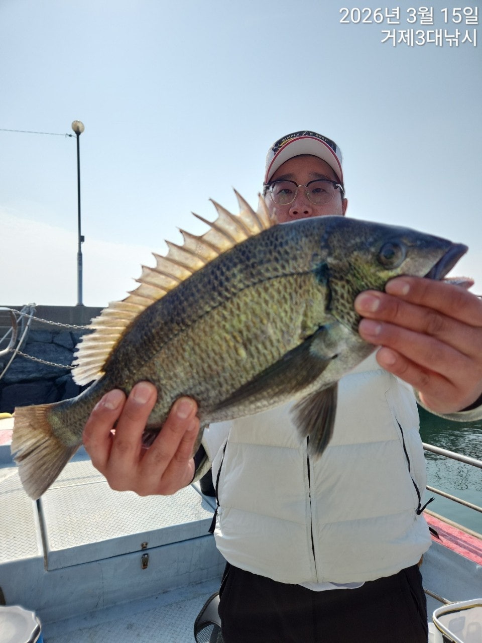 ����ڰ� �ø� �̹���