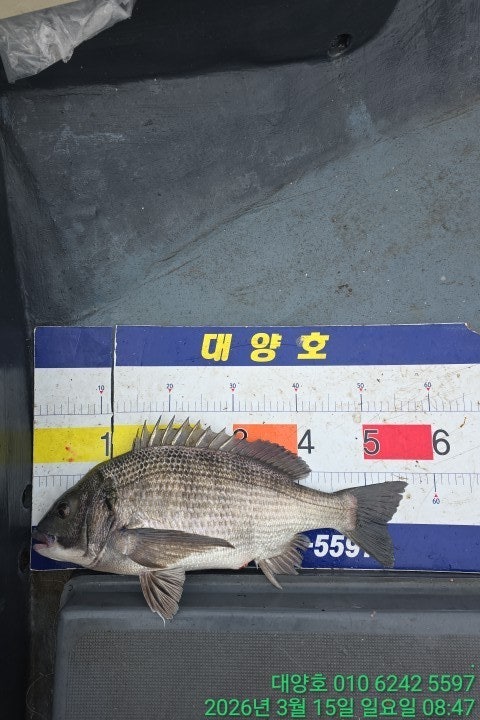 ����ڰ� �ø� �̹���