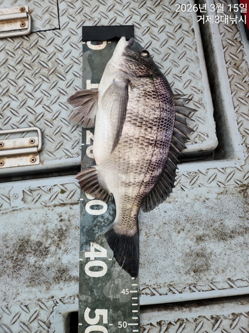 ����ڰ� �ø� �̹���