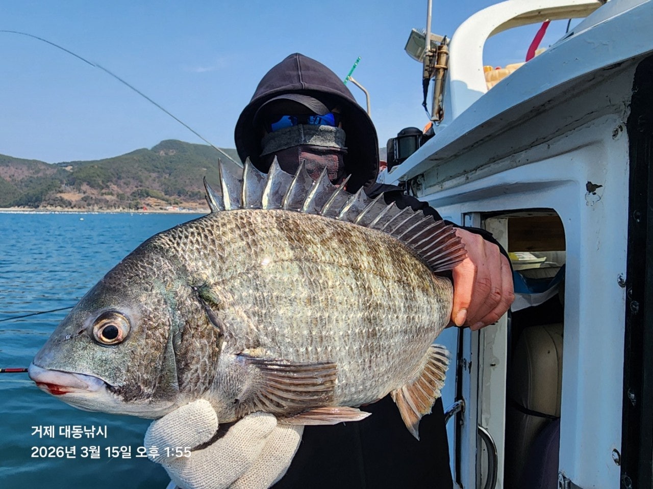 ����ڰ� �ø� �̹���