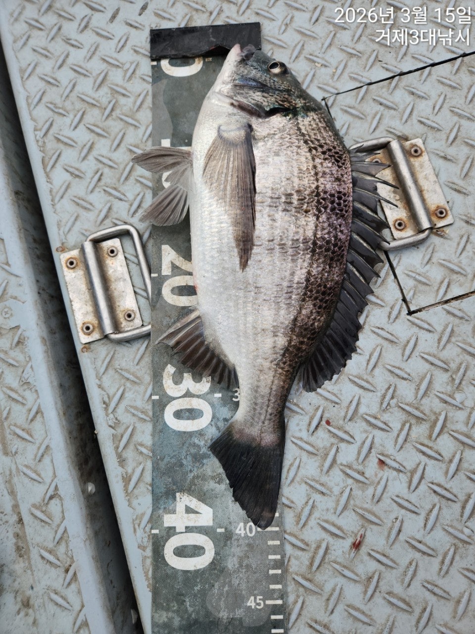 ����ڰ� �ø� �̹���