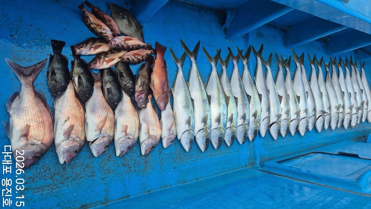 ����ڰ� �ø� �̹���