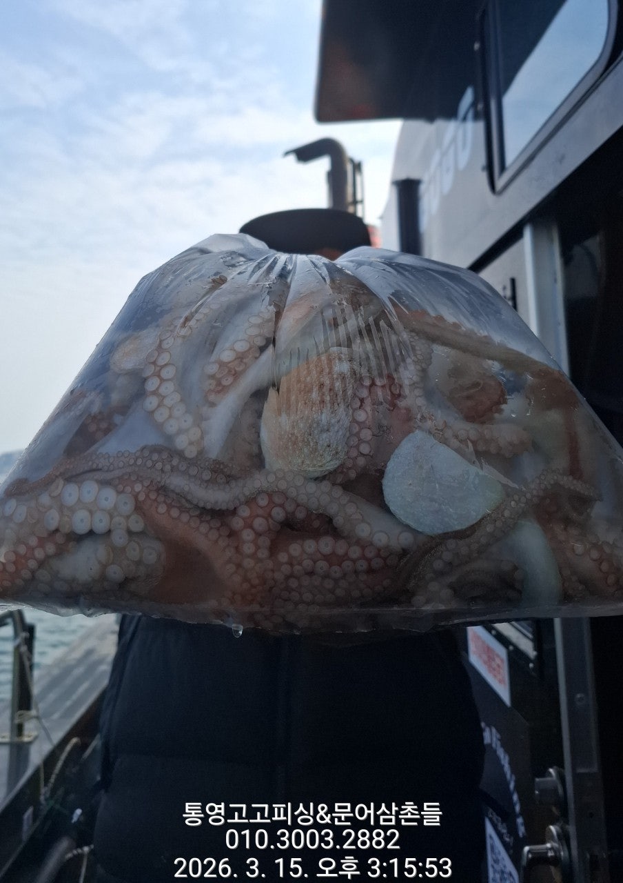 ����ڰ� �ø� �̹���