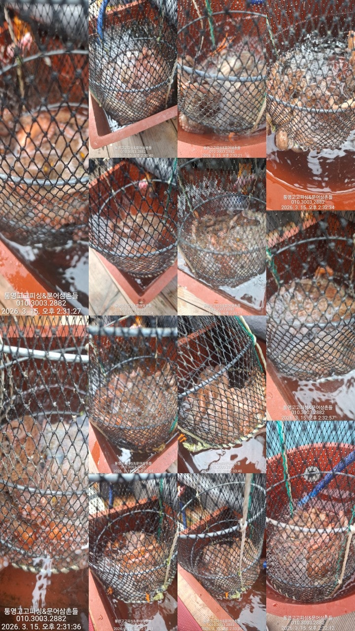 ����ڰ� �ø� �̹���