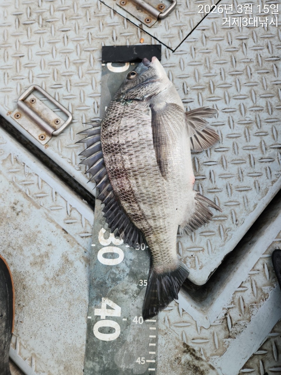 ����ڰ� �ø� �̹���