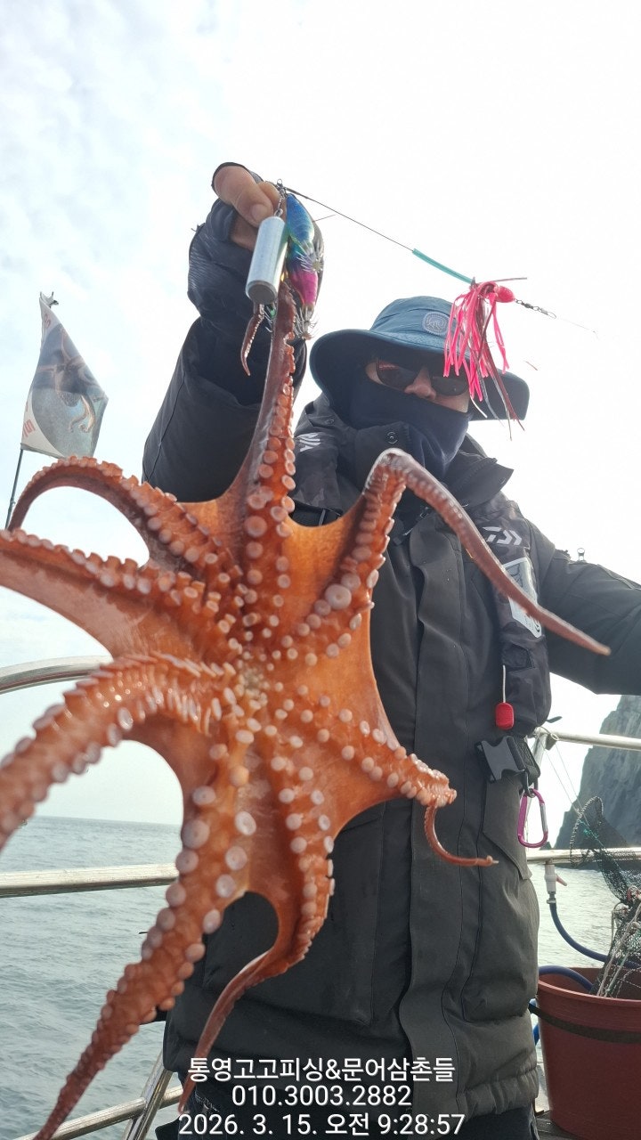 ����ڰ� �ø� �̹���