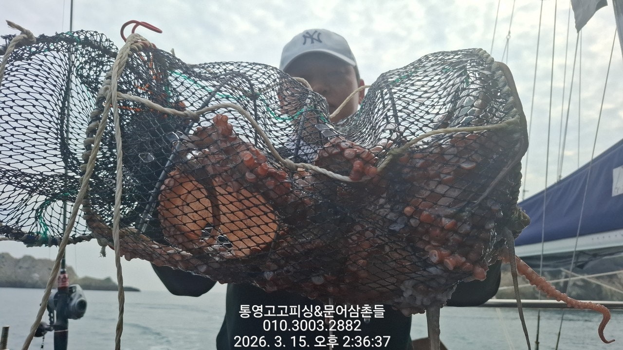 ����ڰ� �ø� �̹���