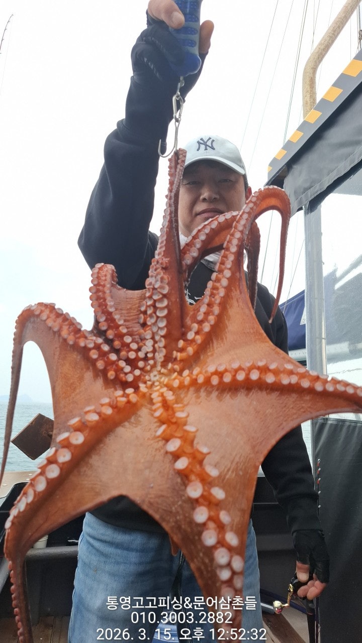 ����ڰ� �ø� �̹���