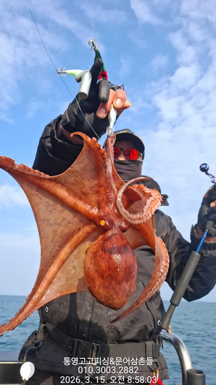 ����ڰ� �ø� �̹���