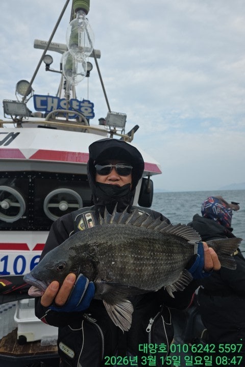 ����ڰ� �ø� �̹���