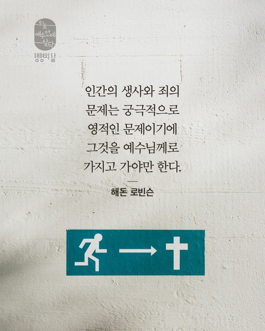 ����ڰ� �ø� �̹���