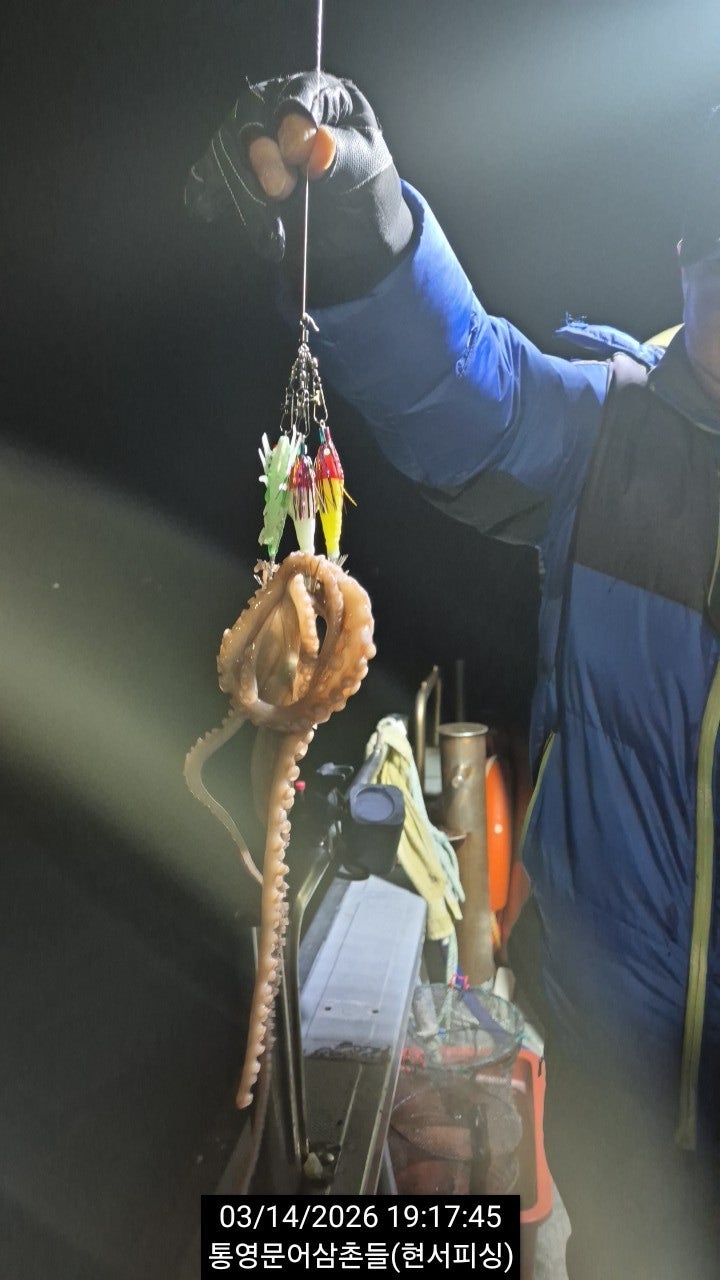 ����ڰ� �ø� �̹���