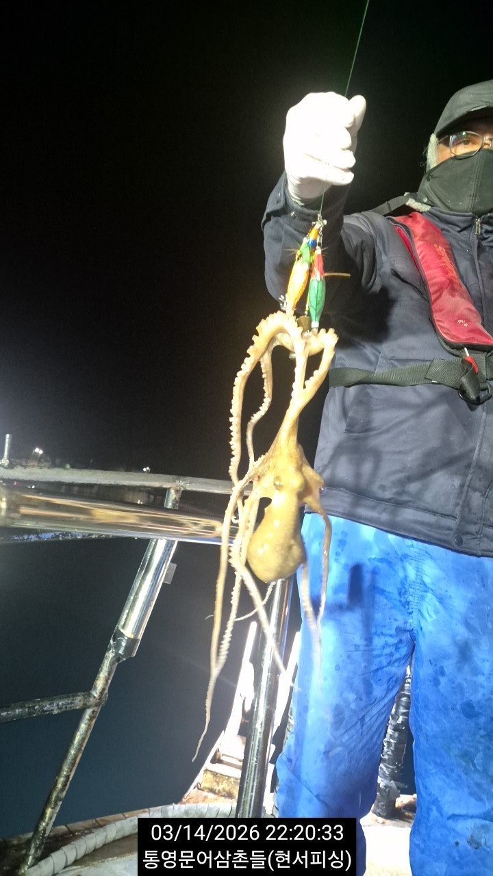 ����ڰ� �ø� �̹���