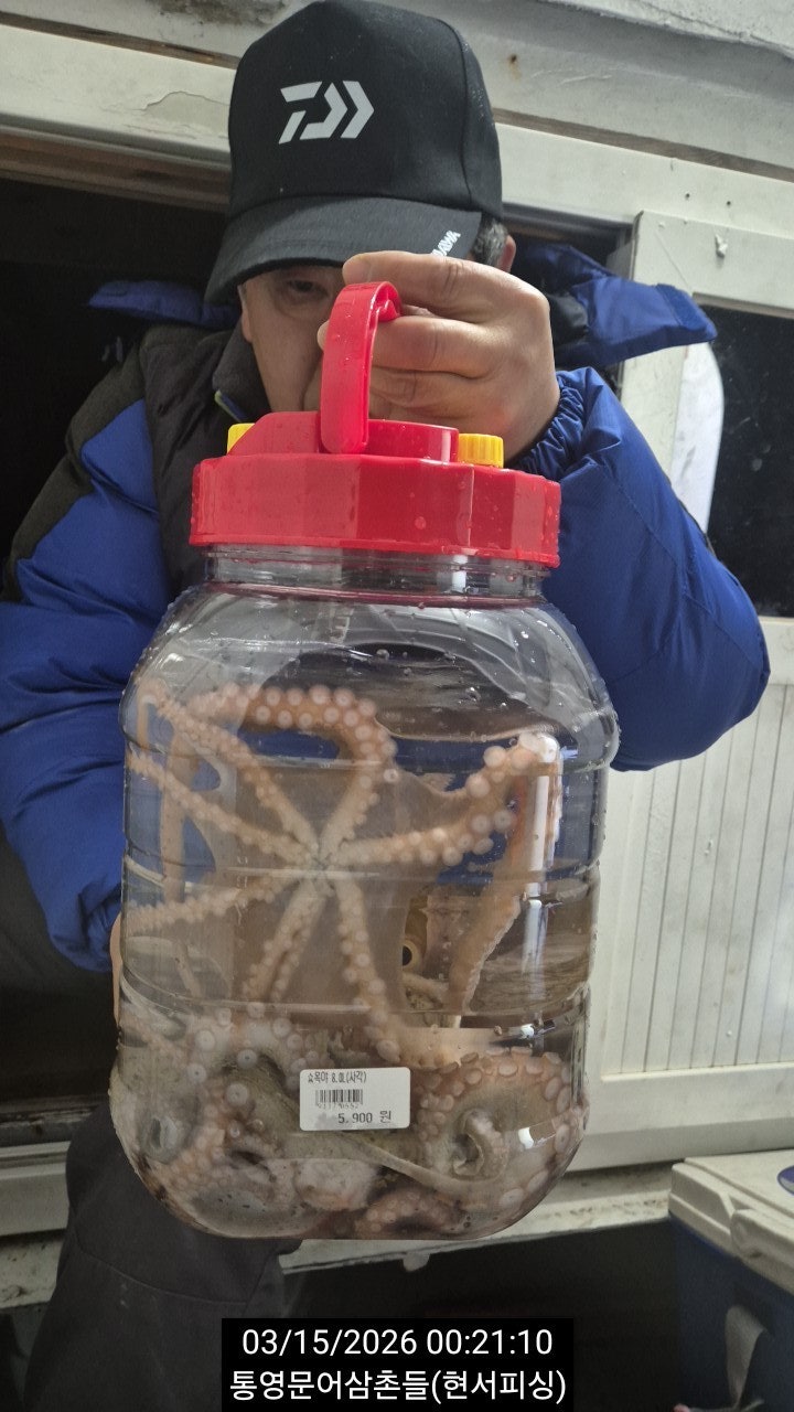 ����ڰ� �ø� �̹���