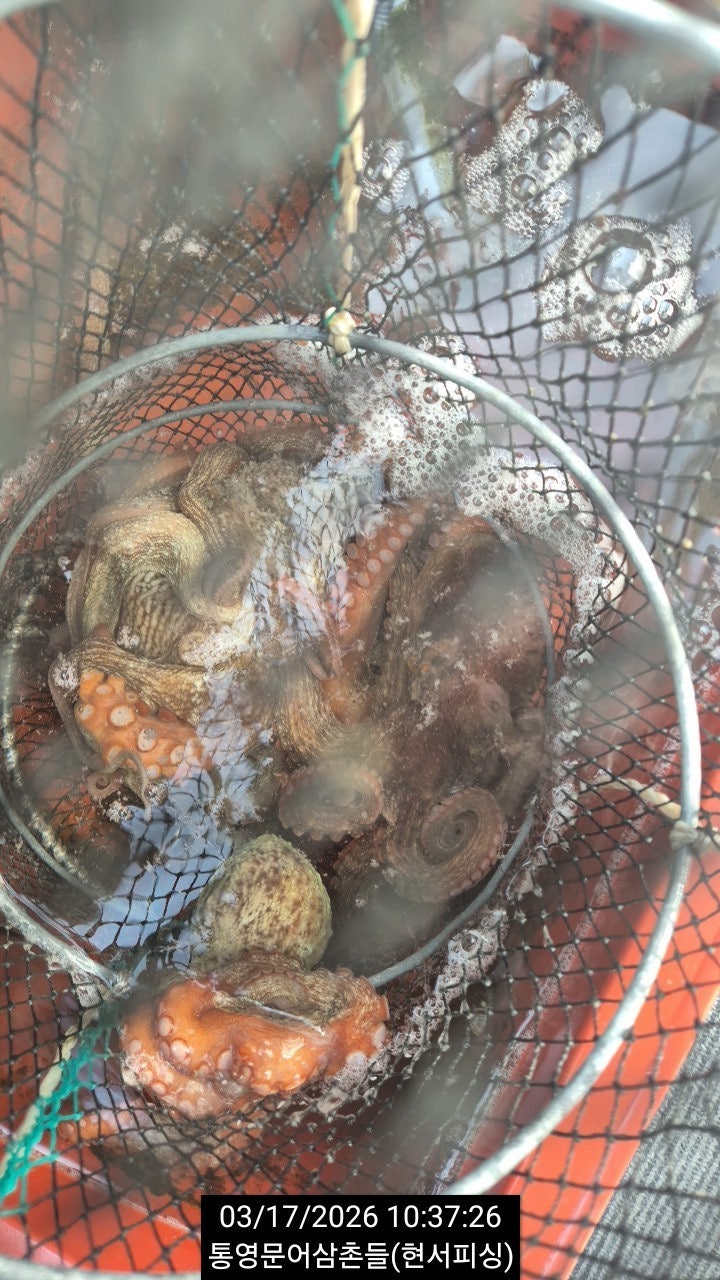 ����ڰ� �ø� �̹���