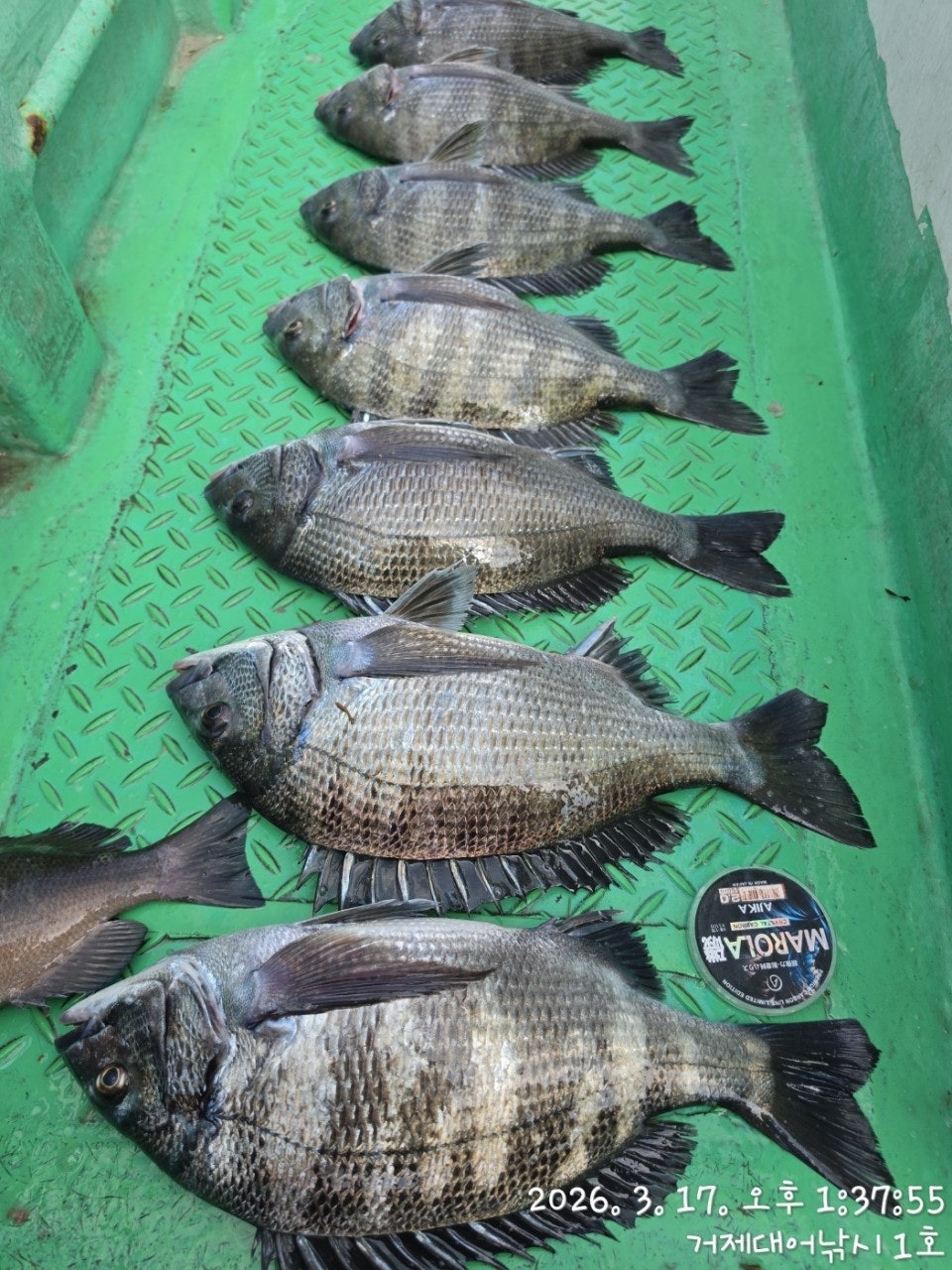 ����ڰ� �ø� �̹���