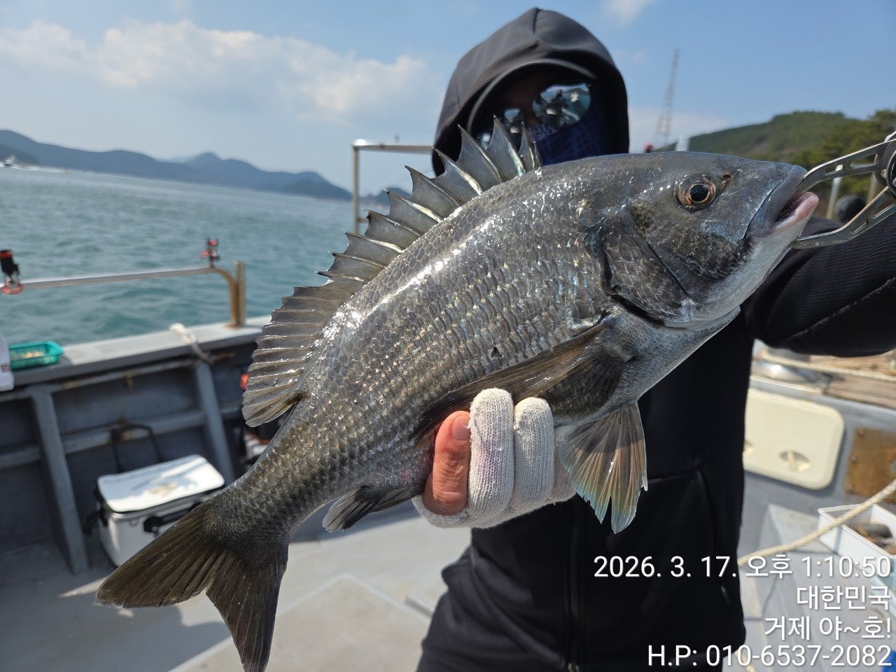 ����ڰ� �ø� �̹���