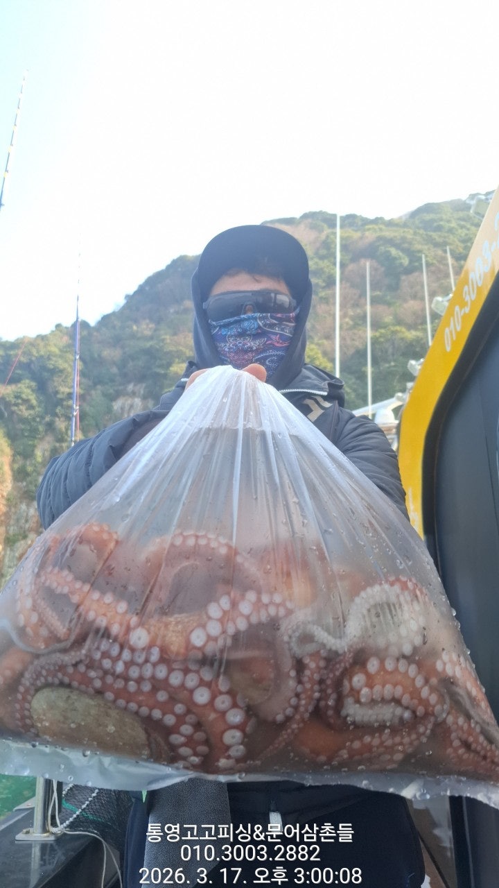 ����ڰ� �ø� �̹���