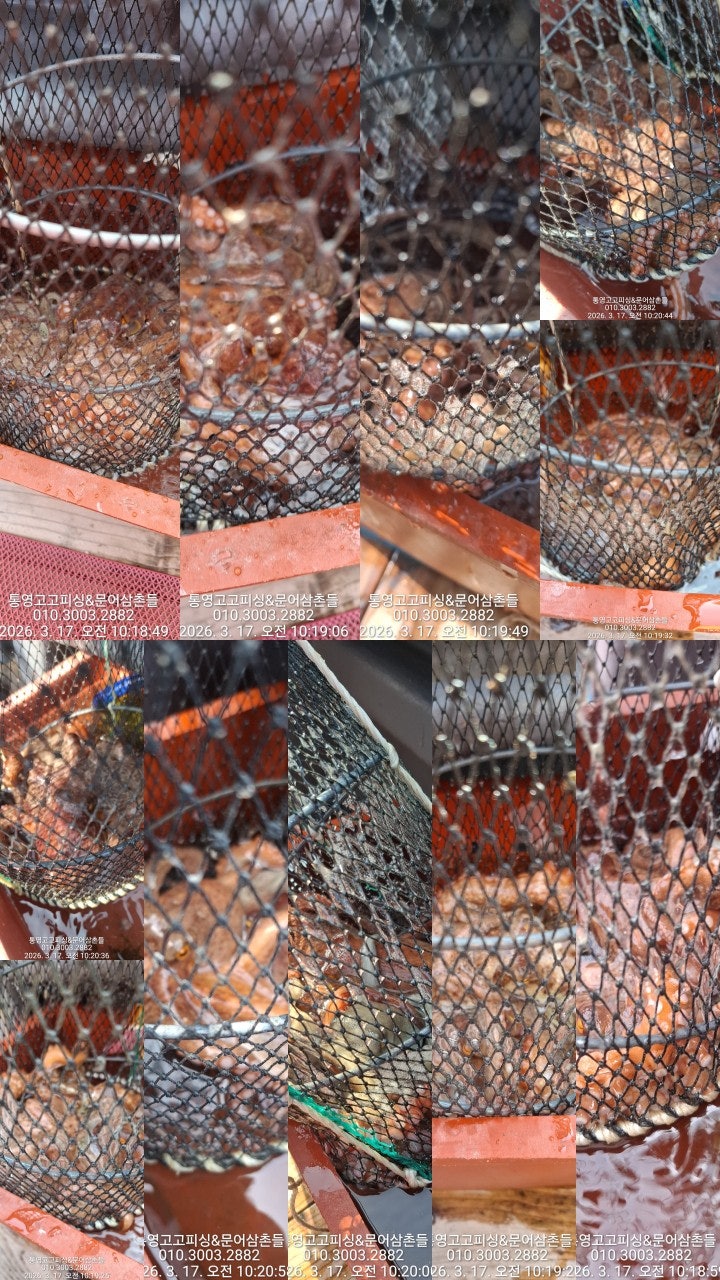 ����ڰ� �ø� �̹���