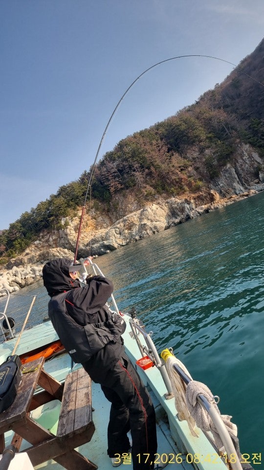 ����ڰ� �ø� �̹���