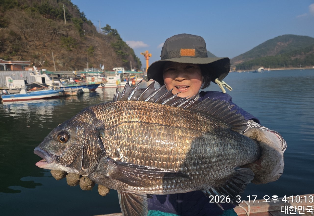 ����ڰ� �ø� �̹���