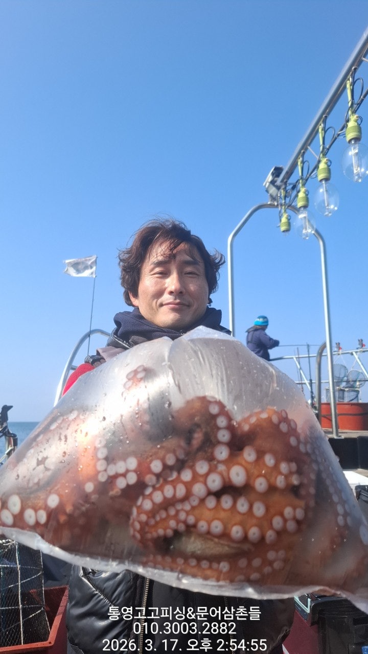 ����ڰ� �ø� �̹���