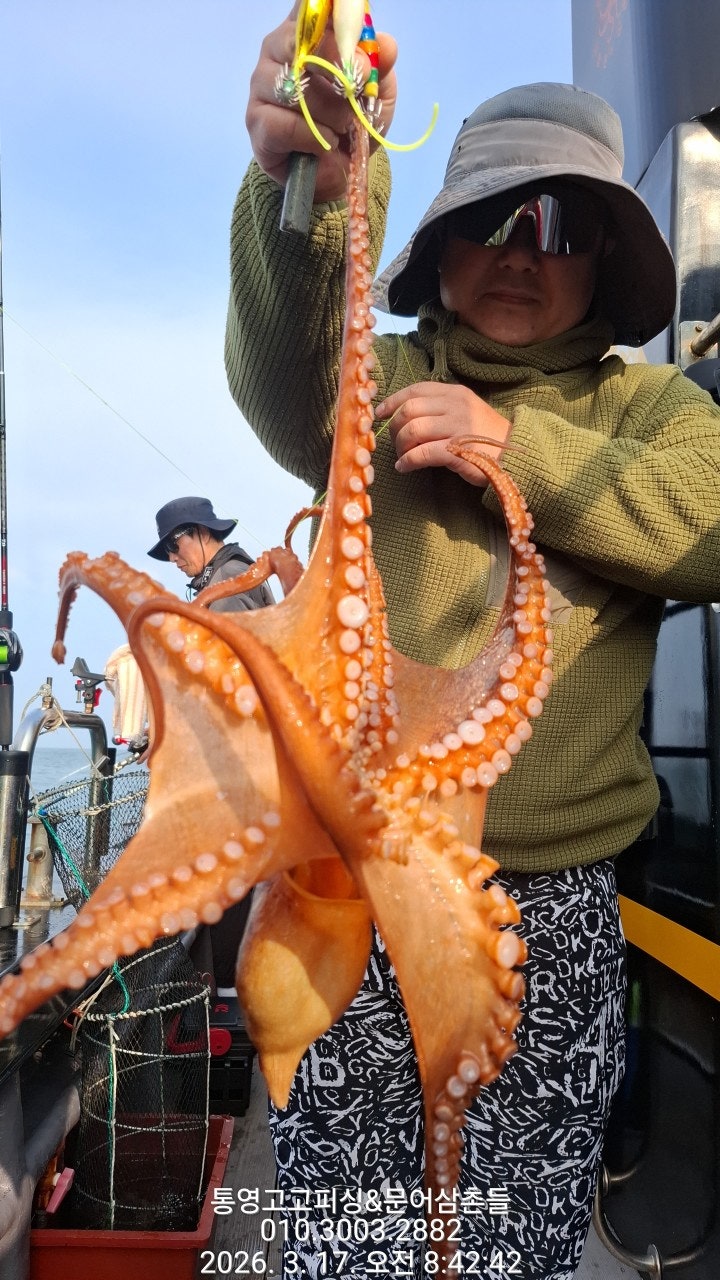 ����ڰ� �ø� �̹���