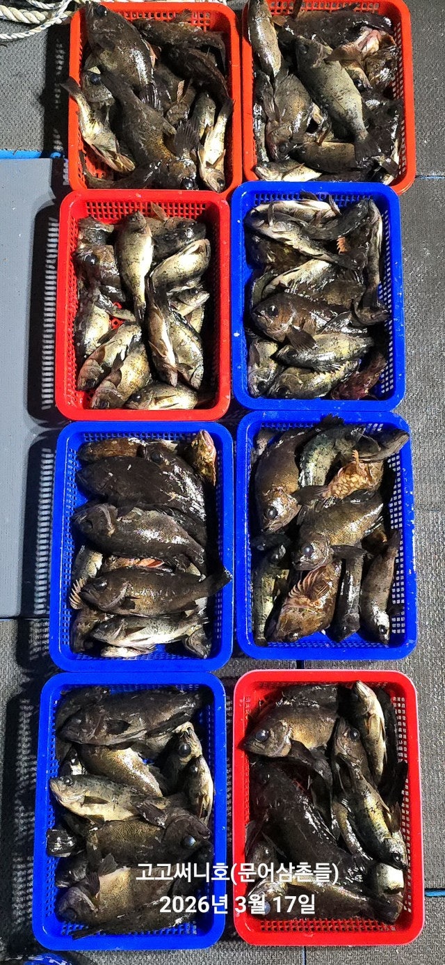 ����ڰ� �ø� �̹���