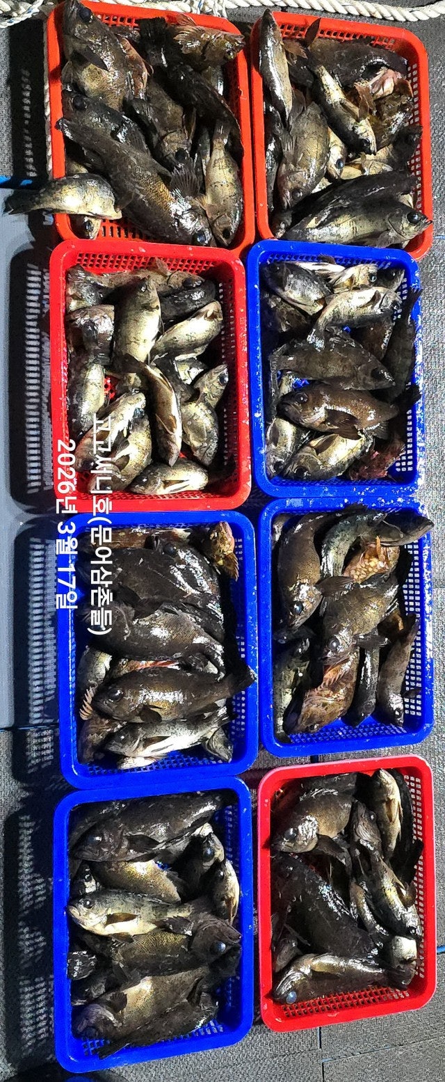 ����ڰ� �ø� �̹���