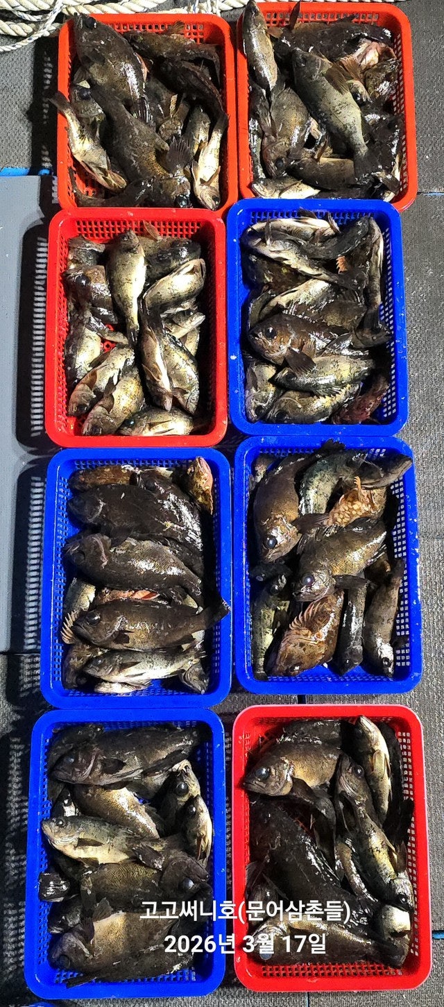 ����ڰ� �ø� �̹���