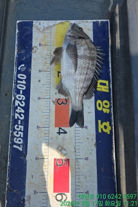 ����ڰ� �ø� �̹���