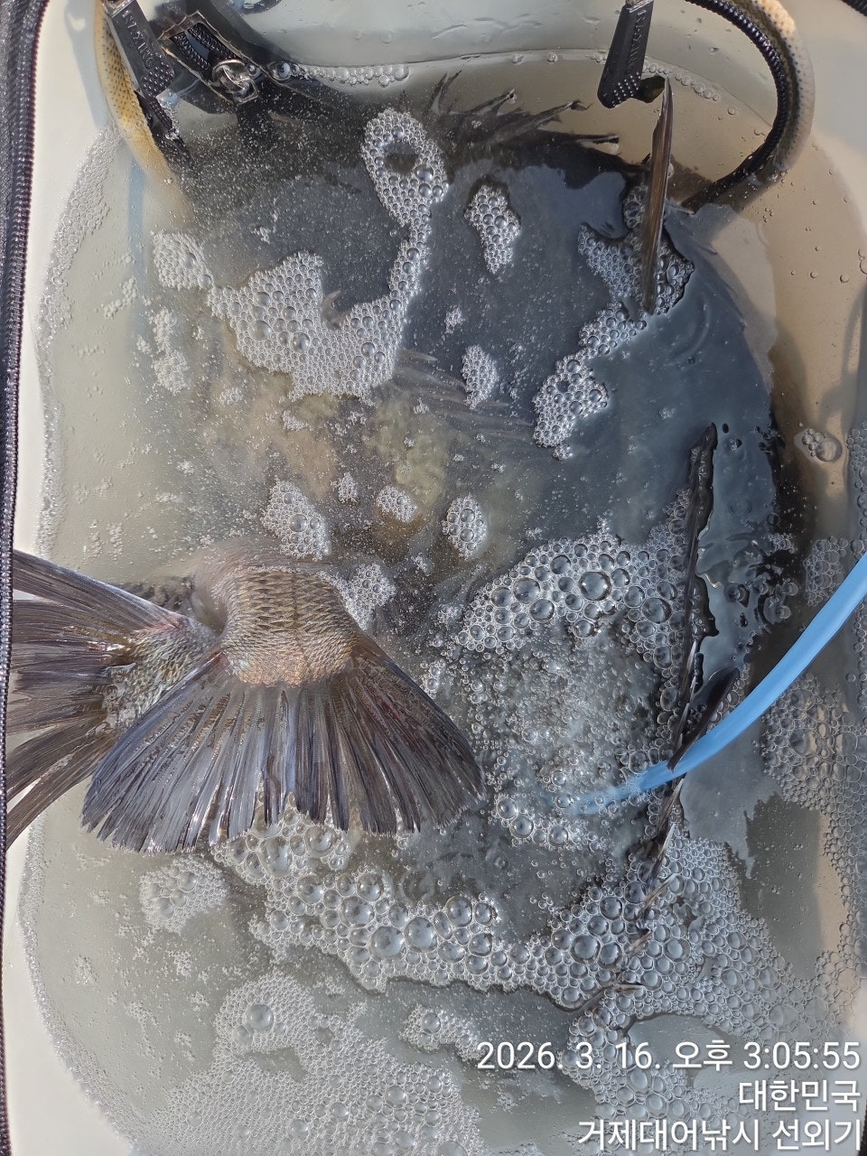 ����ڰ� �ø� �̹���