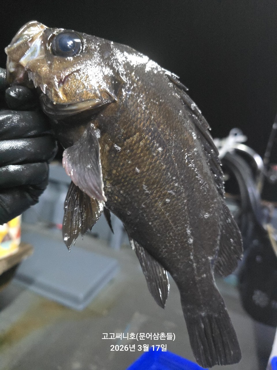 ����ڰ� �ø� �̹���