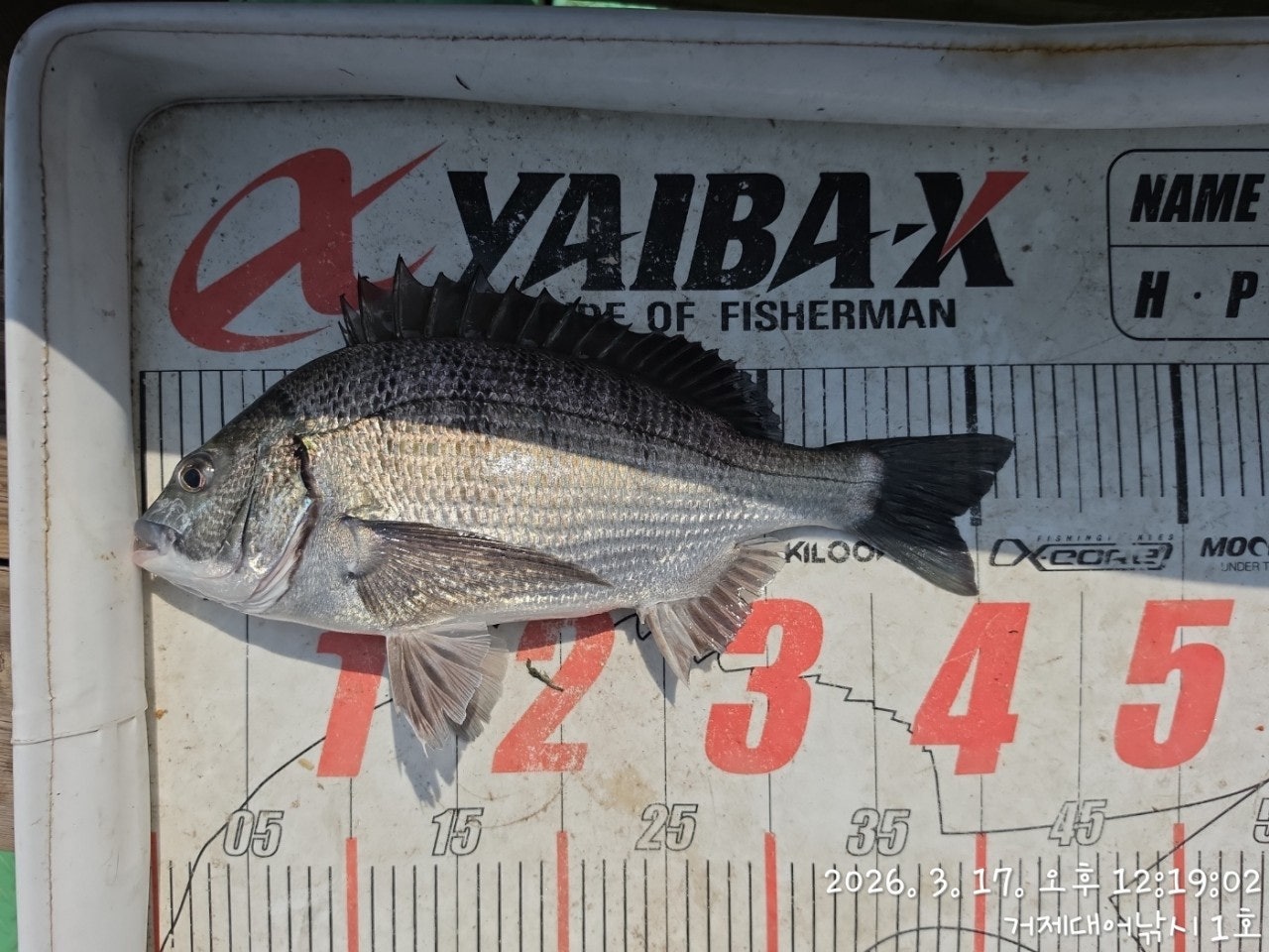 ����ڰ� �ø� �̹���